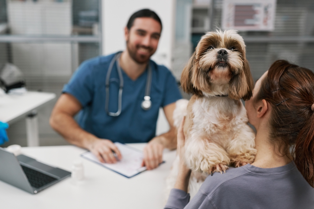 Pet at the vet